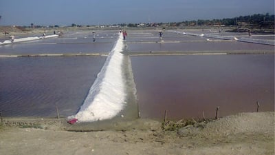 Mannar Salt Pans