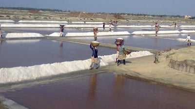 Mannar Salt Pans