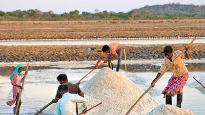 Mannar Salt Pans