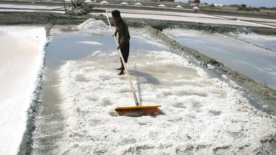 Mannar Salt Pans
