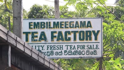 Embilmeegama Tea Factory