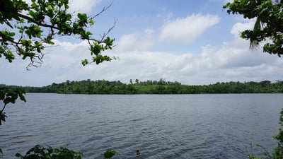 Rathgama lake