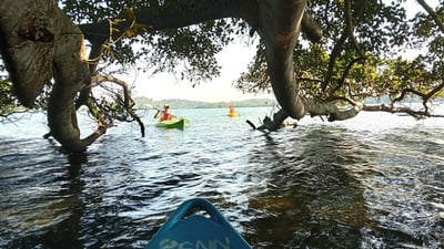 Rathgama lake