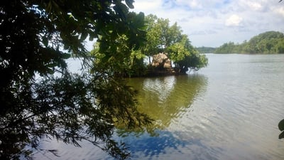 Rathgama lake