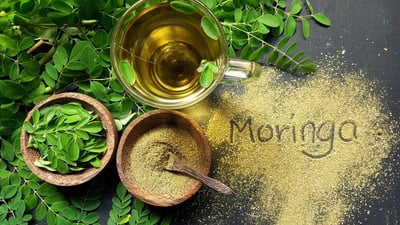 Moringa Tea Benefits