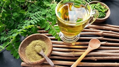 Moringa Tea Benefits