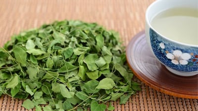 Moringa Tea Benefits