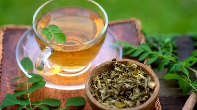 Moringa Tea Benefits