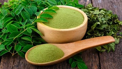 Moringa Products