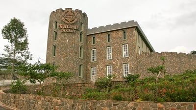 Mlesna Tea Castle St Claire