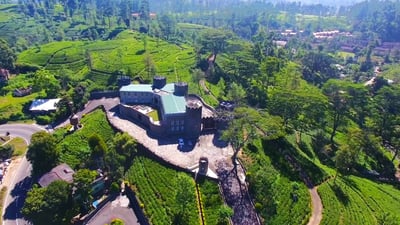 Mlesna Tea Castle St Claire