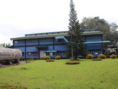 kalubowitiyana-tea-factory