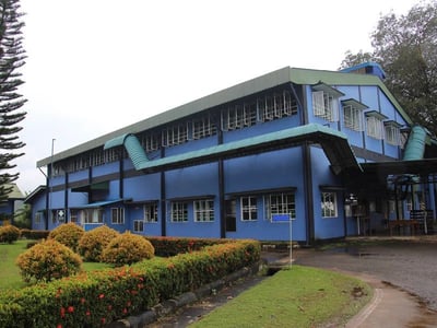 kalubowitiyana-tea-factory