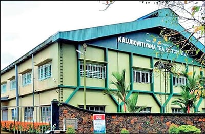 kalubowitiyana-tea-factory