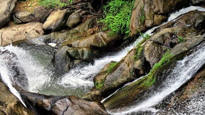 Dewathura Falls
