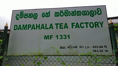 Dampahala Tea Factory