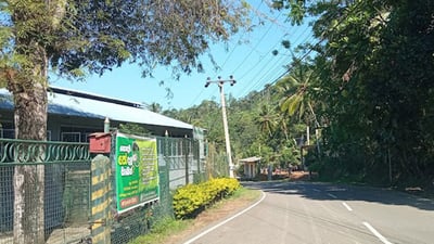 Dampahala Tea Factory
