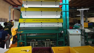 Dampahala Tea Factory