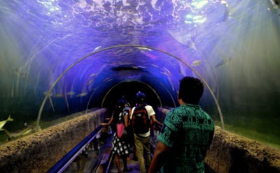 Water World Aquarium & Bird Park
