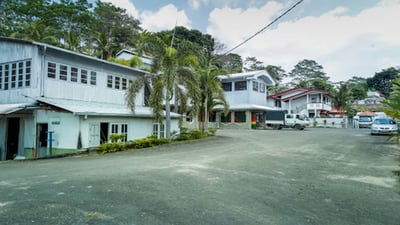 Gunawardana Tea Estate
