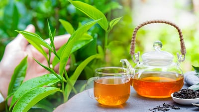 A Guide to Brewing Ceylon Tea