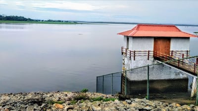 Padaviya