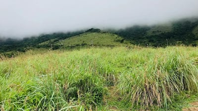 Knuckles View Point