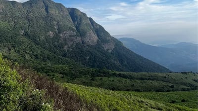 Knuckles View Point