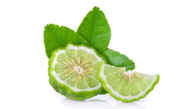 Bergamot Oil/Flavor