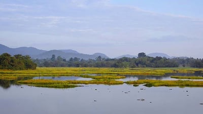 Dunuwila