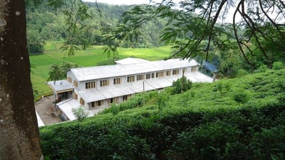 Etambagahawila Estate