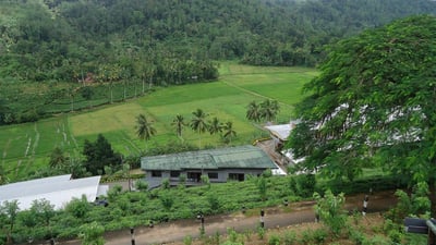 Etambagahawila Estate