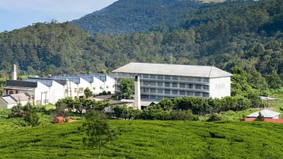 Etambagahawila Estate