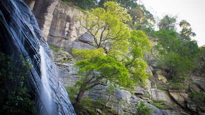 Kolapathana Falls