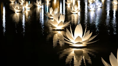 Vesak decorations