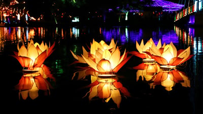 Vesak decorations