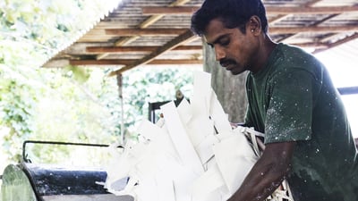 Paper Collection & Processing