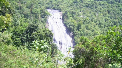 Pelmadulla City