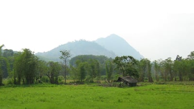 Pelmadulla City