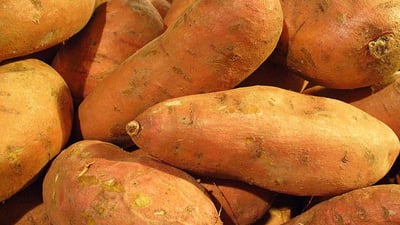 Sweet potato