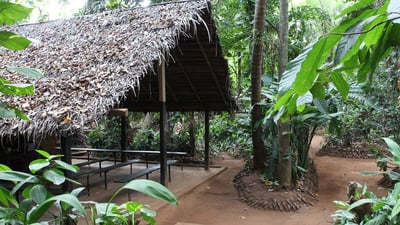 Luck Grove Spice Garden