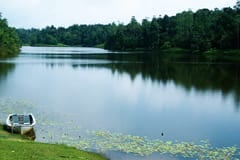 Hiyare Rainforest and Reservoir
