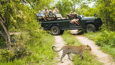 Ethical Safari