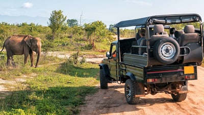 Ethical Safari