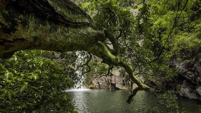Dumbara Ella Falls