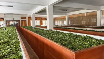 Giragama Estate