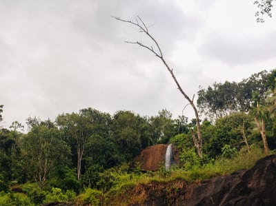 Wee Oya Ella Falls
