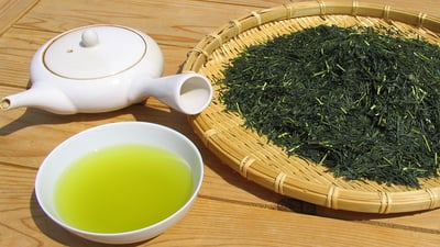 Sencha
