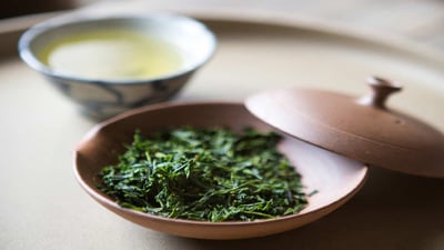 Sencha