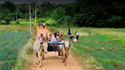 Hingula Village